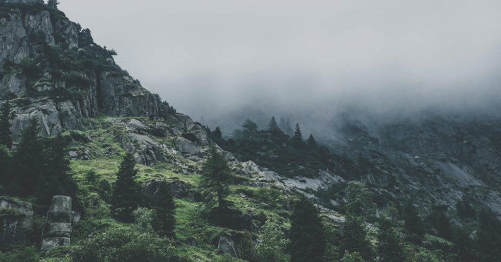 découvrez les normes écologiques qui régissent la durabilité et la protection de l'environnement. apprenez comment ces standards contribuent à un avenir plus vert et à des pratiques responsables dans divers secteurs.