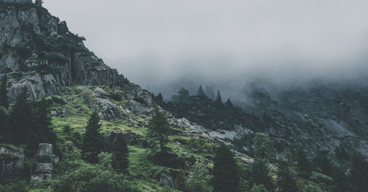 découvrez les normes écologiques qui régissent la durabilité et la protection de l'environnement. apprenez comment ces standards contribuent à un avenir plus vert et à des pratiques responsables dans divers secteurs.