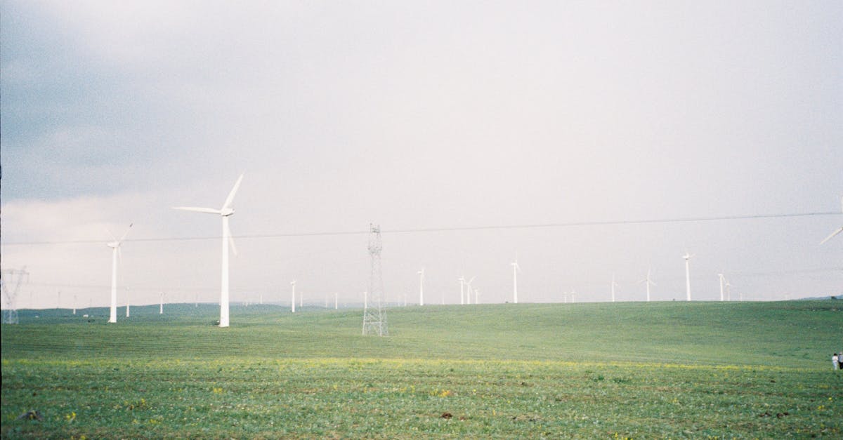 découvrez comment réduire votre empreinte carbone grâce à des actions concrètes et des pratiques durables. apprenez-en plus sur les stratégies efficaces pour diminuer votre impact environnemental et contribuer à un avenir plus vert.