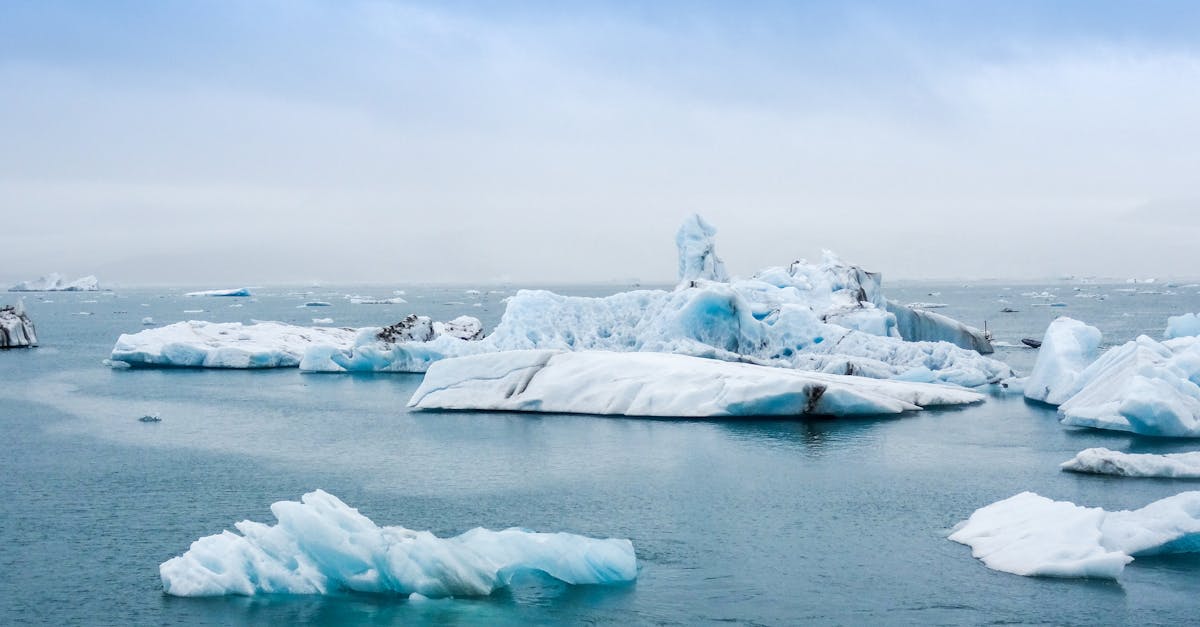 découvrez l'impact du changement climatique sur notre planète. explorez des solutions durables et des initiatives pour préserver notre environnement. informez-vous sur les défis et les actions nécessaires pour un avenir plus sain.
