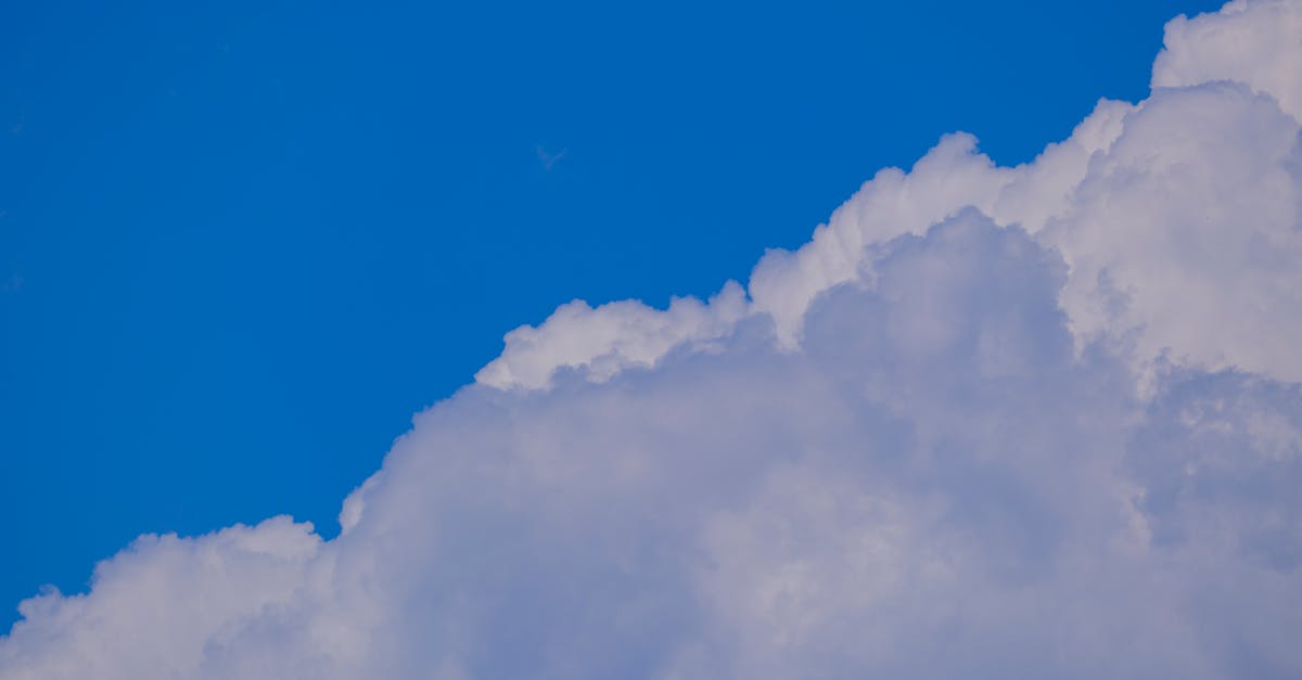 découvrez comment les alliances climatiques réunissent des nations, des entreprises et des citoyens pour lutter contre le changement climatique et promouvoir un avenir durable. engagez-vous pour la planète et explorez les initiatives innovantes qui transforment notre monde.