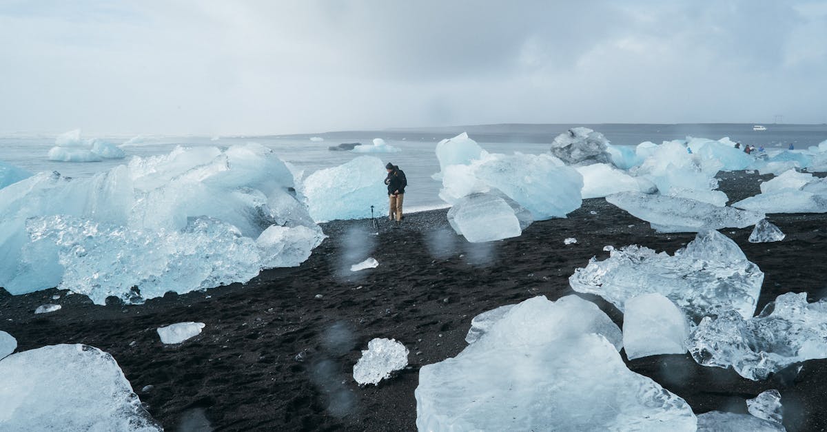 découvrez les enjeux et impacts du changement climatique sur notre planète. analyse des causes, conséquences et solutions pour un avenir durable face à cette crise environnementale.