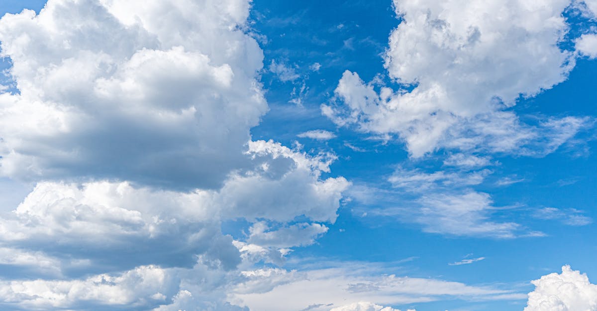 découvrez nos prévisions climatiques détaillées, qui vous permettent d'anticiper les changements météorologiques à venir. restez informé sur les tendances climatiques, leur impact sur l'environnement et comment vous préparer aux événements extrêmes.