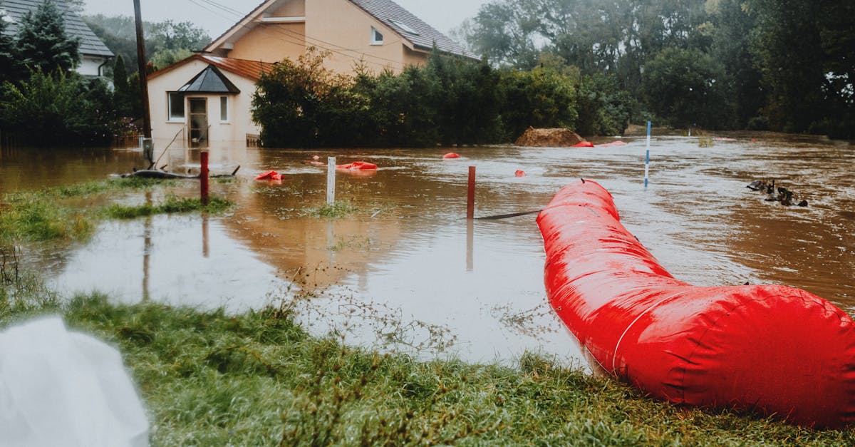 découvrez comment les risques climatiques affectent notre planète et nos sociétés. informez-vous sur les impacts environnementaux, économiques et sociaux des changements climatiques, ainsi que des solutions pour atténuer ces risques.