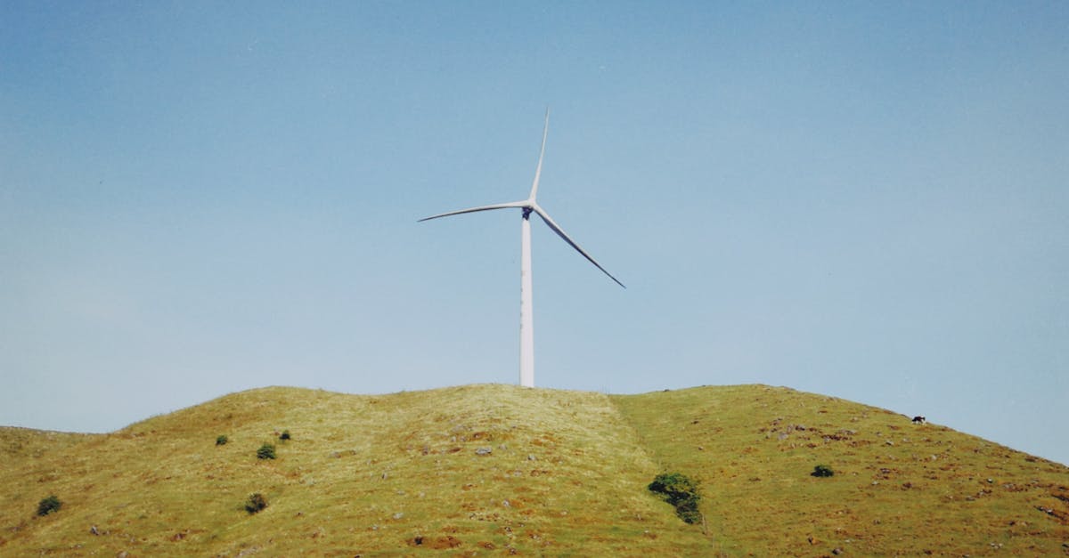 découvrez les réglementations environnementales essentielles qui protègent notre planète. informez-vous sur les lois et normes qui encadrent la protection de l'environnement et favorisent un développement durable.