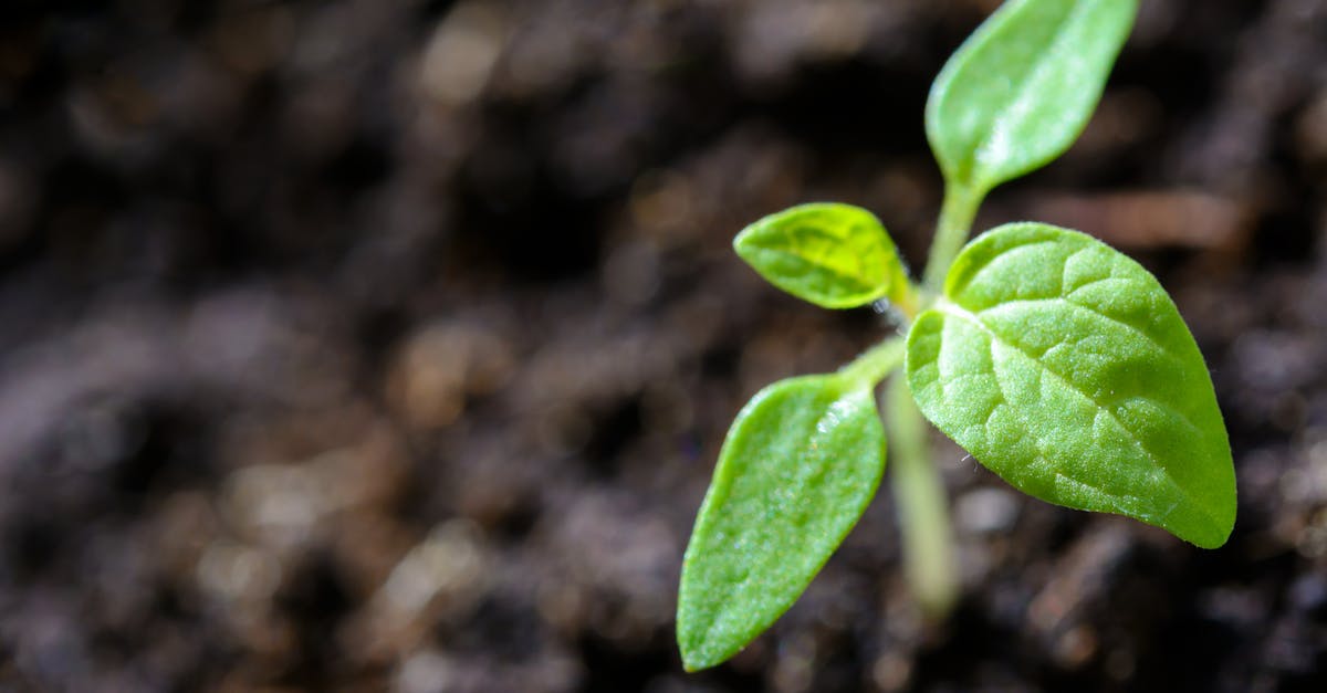 découvrez comment promouvoir la durabilité grâce à des pratiques respectueuses de l'environnement. explorez des solutions innovantes et des idées inspirantes pour un avenir plus vert et responsable.