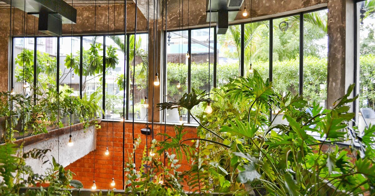 découvrez le design durable : une approche innovante qui allie esthétisme et respect de l'environnement, contribuant à un avenir plus vert grâce à des matériaux éco-responsables et des pratiques engagées.