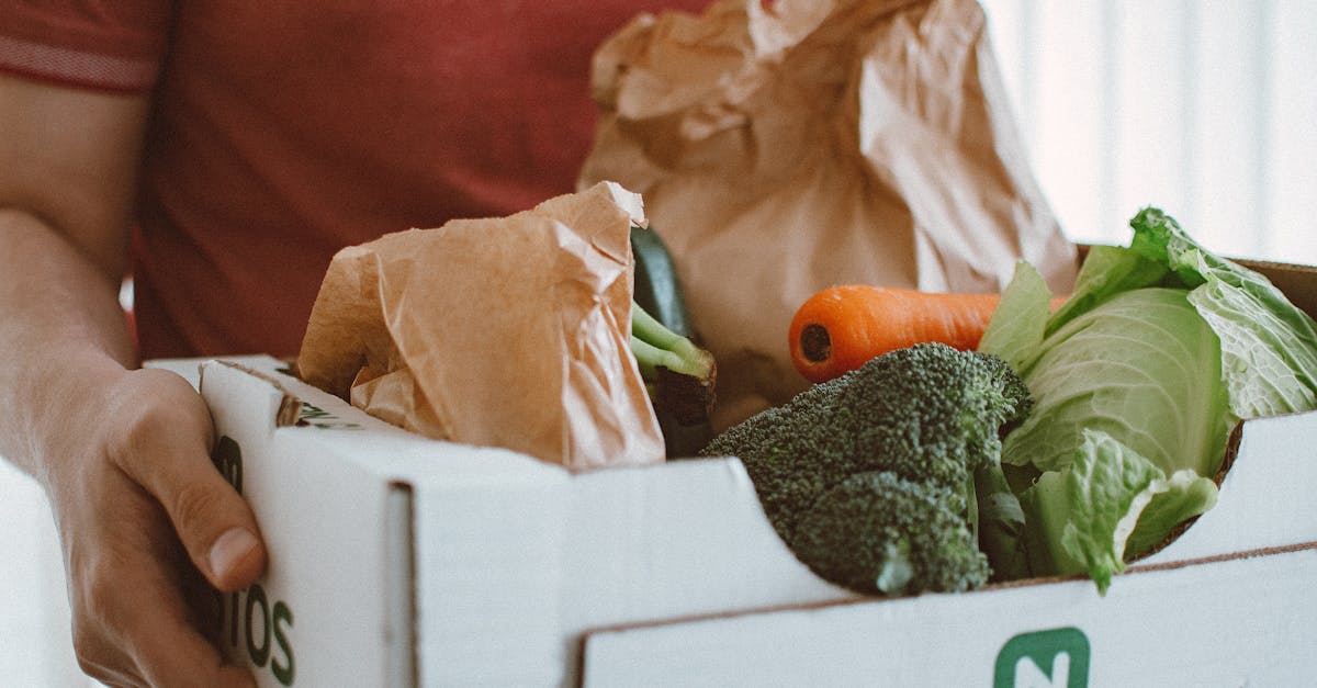 découvrez des conseils pratiques et des astuces pour embrasser un mode de vie durable. apprenez comment réduire votre empreinte écologique, adopter des habitudes éthiques et faire des choix respectueux de l'environnement au quotidien.