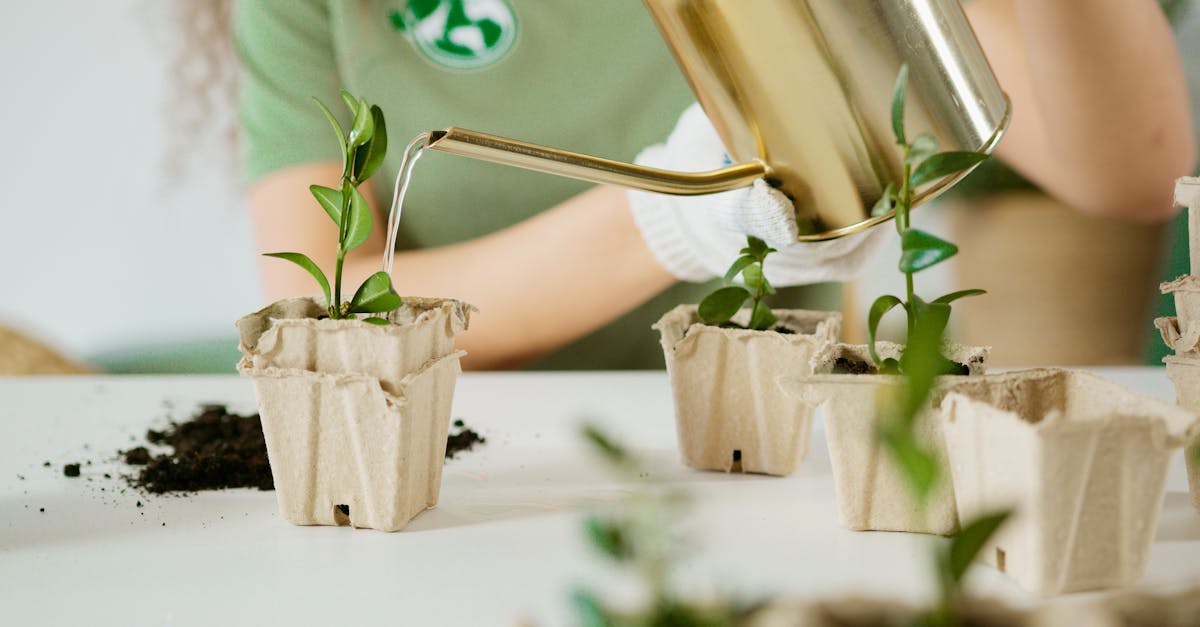 découvrez des pratiques durables essentielles pour préserver notre planète. apprenez comment intégrer des solutions écologiques dans votre quotidien pour un avenir plus responsable.