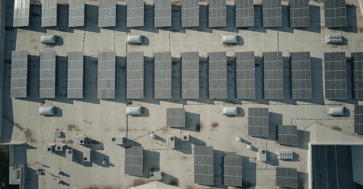 découvrez des ressources durables qui préservent notre planète tout en répondant à nos besoins. apprenez comment adopter des pratiques respectueuses de l'environnement pour un avenir plus vert.