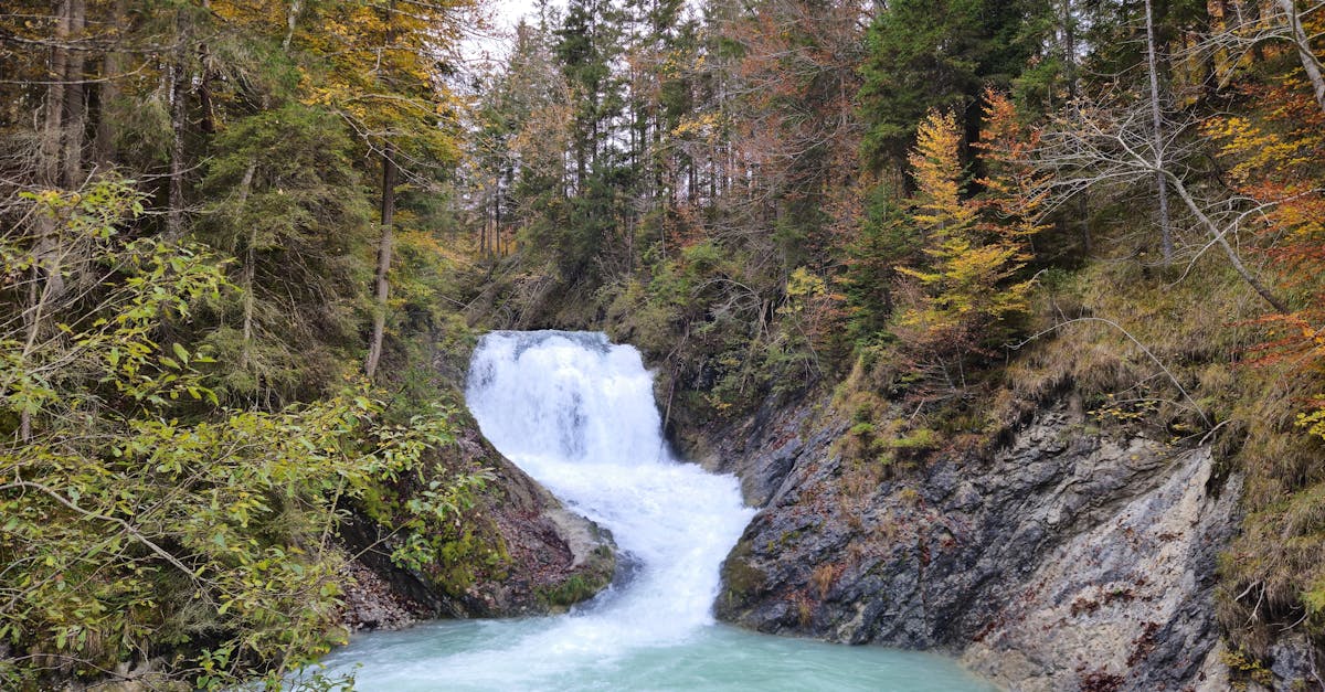découvrez l'importance des ressources en eau, leur gestion durable et les enjeux environnementaux qui en découlent. informez-vous sur les défis liés à l'accès à l'eau potable et explorez des solutions pour préserver cette ressource vitale pour les générations futures.