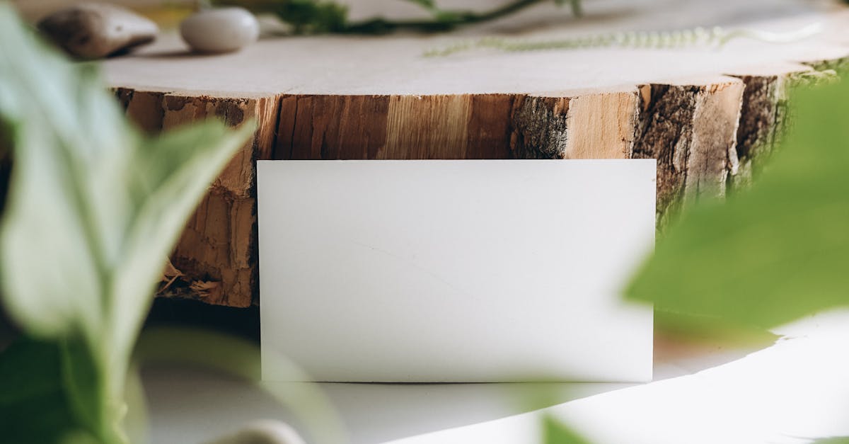 découvrez l'importance des entreprises durables qui allient performance économique et responsabilité environnementale. explorez des initiatives innovantes et apprenez comment ces acteurs contribuent à un avenir plus respectueux de la planète.