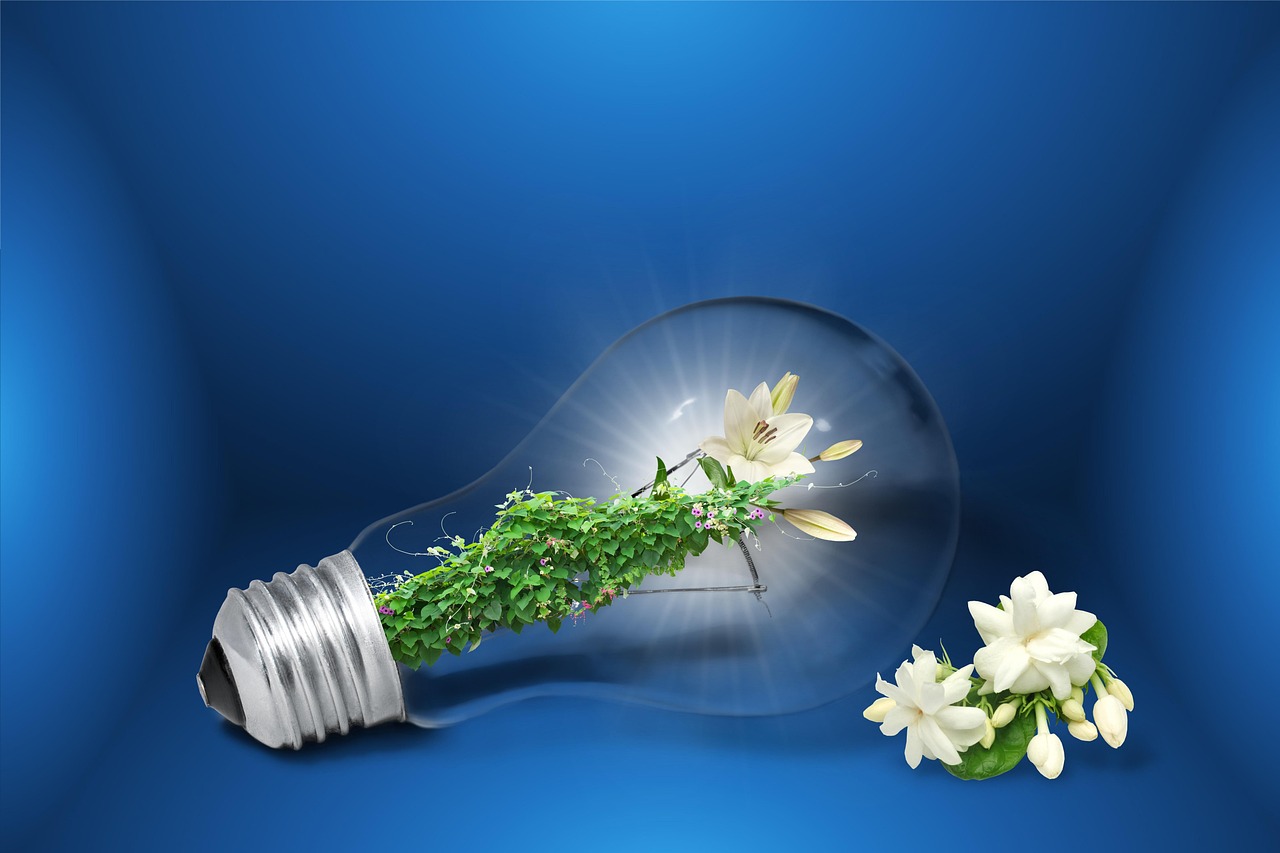 découvrez comment les énergies durables transforment notre avenir énergétique en réduisant notre empreinte carbone, en favorisant des solutions respectueuses de l'environnement et en encourageant l'innovation. explorez les technologies vertes et les pratiques écoresponsables qui participent à un monde plus durable.