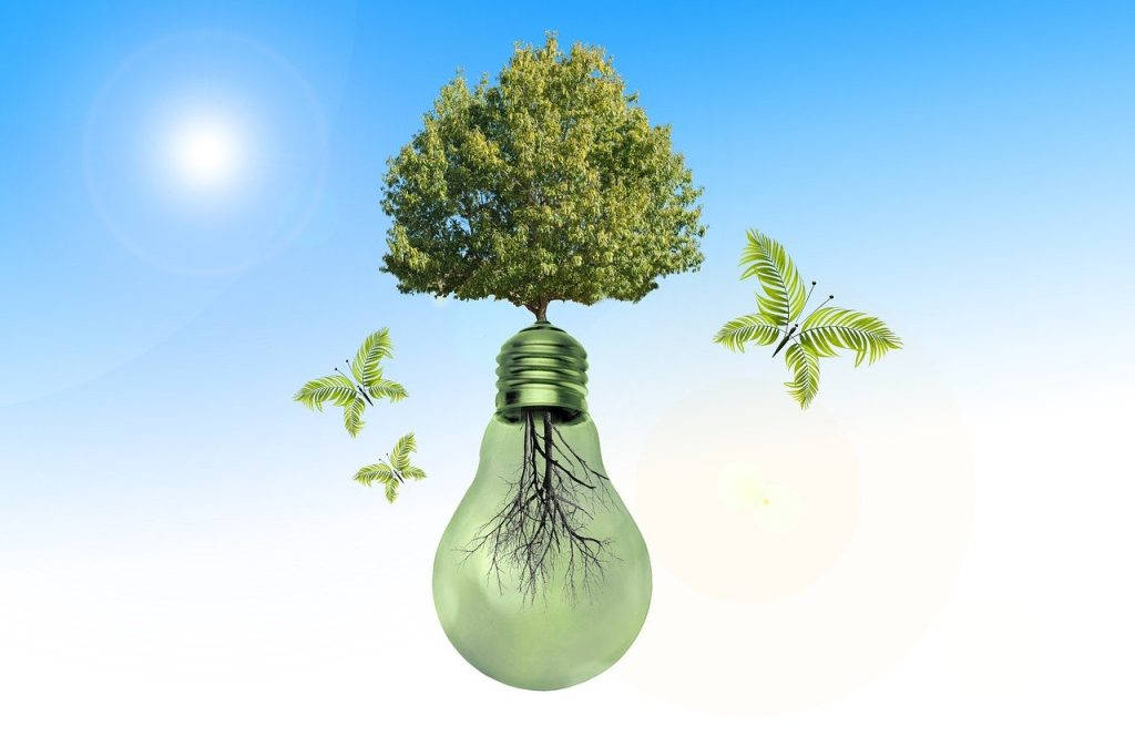 découvrez les innovations environnementales qui transforment notre planète. explorez des solutions durables et technologiques pour un avenir plus vert et responsable.