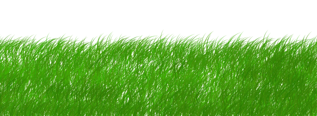 découvrez notre approche durable qui allie respect de l'environnement et innovation. explorez des stratégies et des solutions éco-responsables pour un avenir plus vert.