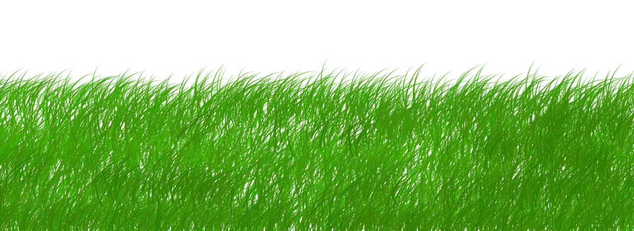 découvrez notre approche durable qui allie respect de l'environnement et innovation. explorez des stratégies et des solutions éco-responsables pour un avenir plus vert.