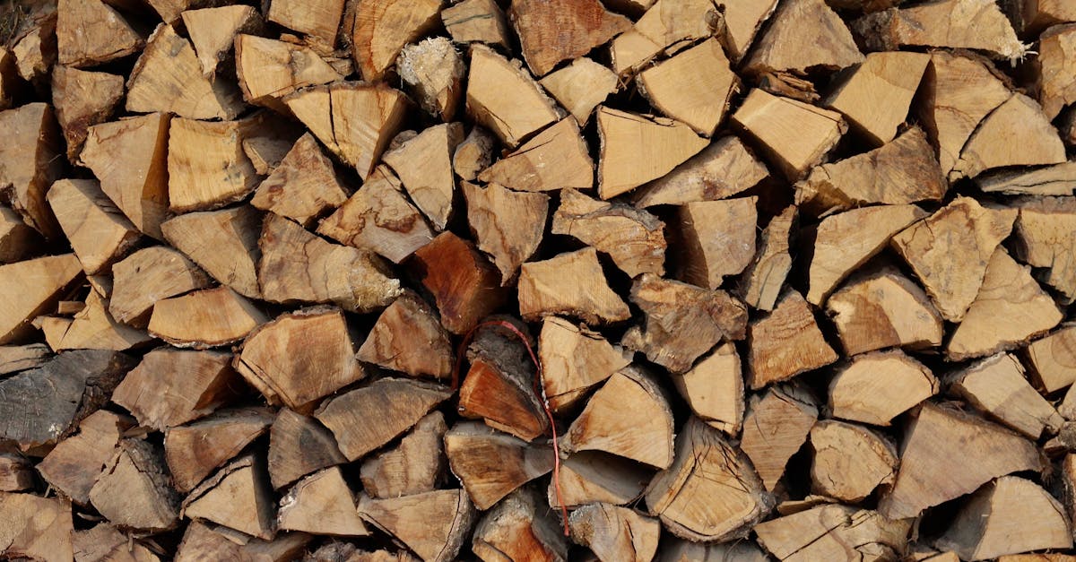 découvrez l'univers des biocarburants : alternatives durables aux combustibles fossiles, leurs avantages environnementaux, leur rôle dans la transition énergétique et les différentes sources de production. informez-vous sur les innovations et les tendances de ce secteur en plein essor.