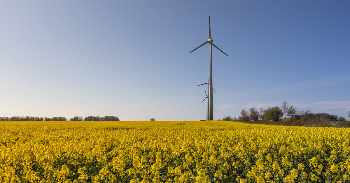 découvrez les avantages de l'énergie propre pour un avenir durable. explorez les sources d'énergie renouvelable, réduisez votre empreinte carbone et contribuez à la protection de notre planète.