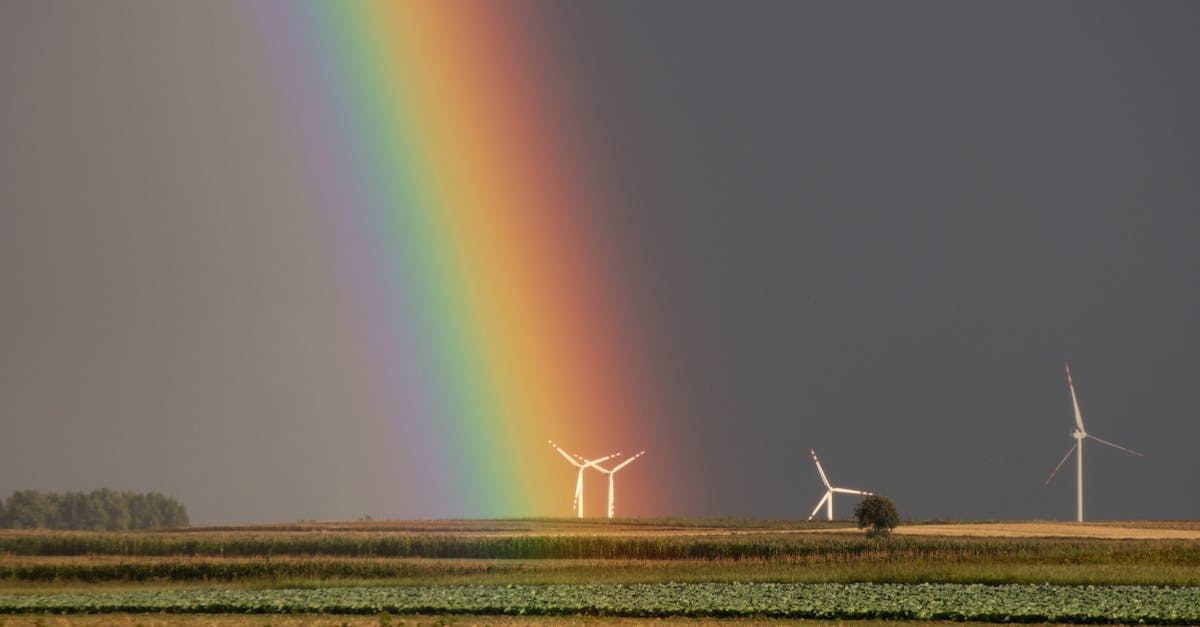découvrez comment agir pour le climat avec des solutions innovantes et durables. rejoignez le mouvement pour préserver notre planète et garantir un avenir meilleur pour les générations futures.
