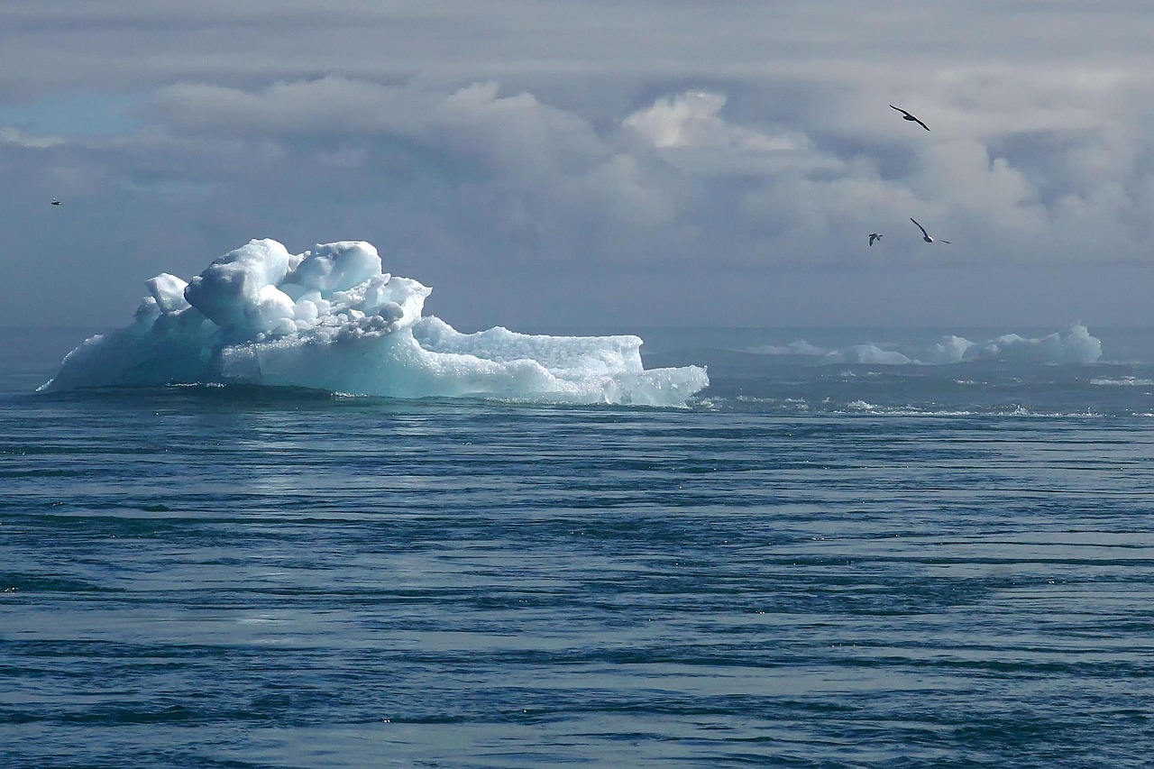 découvrez l'impact du changement climatique sur notre planète, les causes sous-jacentes et les solutions possibles pour un avenir durable. informez-vous sur les actions à entreprendre pour lutter contre ce défi mondial vital.