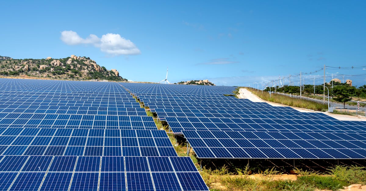 découvrez des solutions innovantes pour lutter contre le changement climatique. notre guide explore des initiatives durables, des technologies vertes et des pratiques respectueuses de l'environnement pour un avenir plus sain et plus durable.