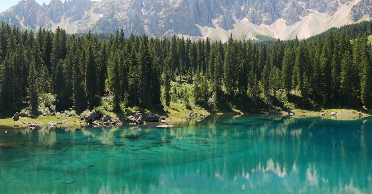 découvrez les tribunaux climatiques, des instances dédiées à la justice environnementale. explorez leur rôle dans la lutte contre le changement climatique, leur impact sur la réglementation et les droits humains, ainsi que les affaires marquantes qui façonnent notre avenir face à la crise écologique.