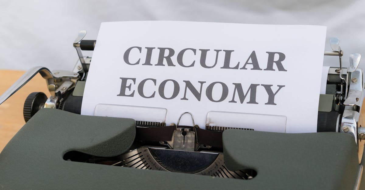 découvrez l'univers de l'éco-innovation, où la durabilité rencontre la technologie. explorez des solutions créatives et responsables qui transforment les défis environnementaux en opportunités économiques, tout en contribuant à un avenir plus vert et durable.