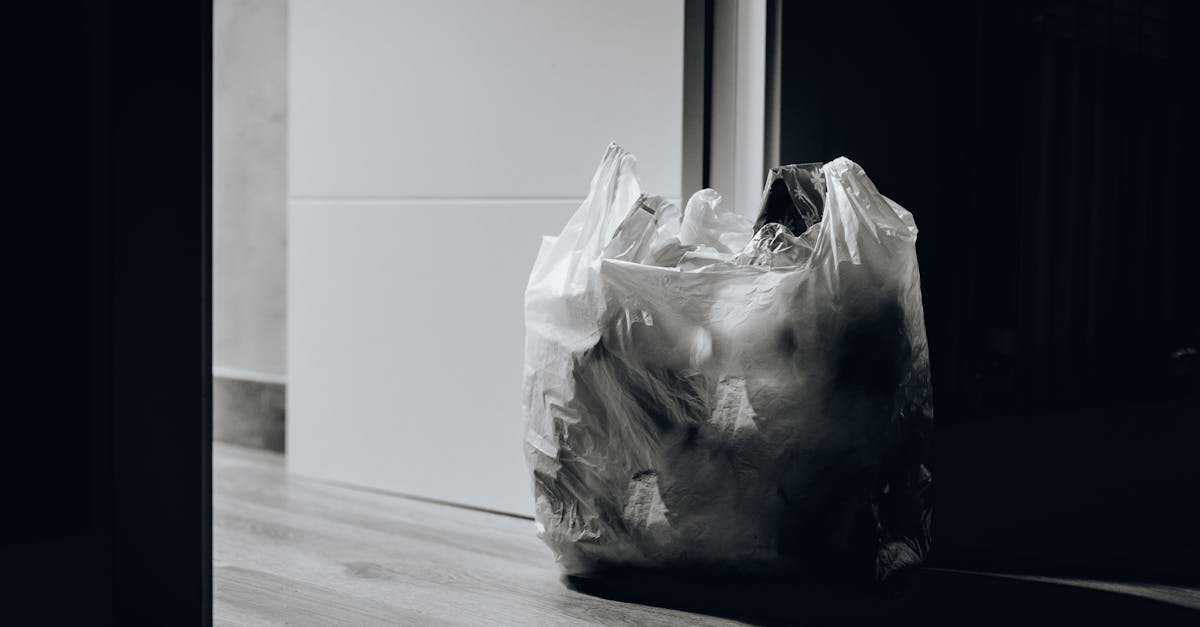 découvrez l'univers du plastique, un matériau polyvalent aux multiples applications. apprenez son impact environnemental, ses innovations durables et comment il transforme notre quotidien tout en étant confronté aux défis de la pollution.