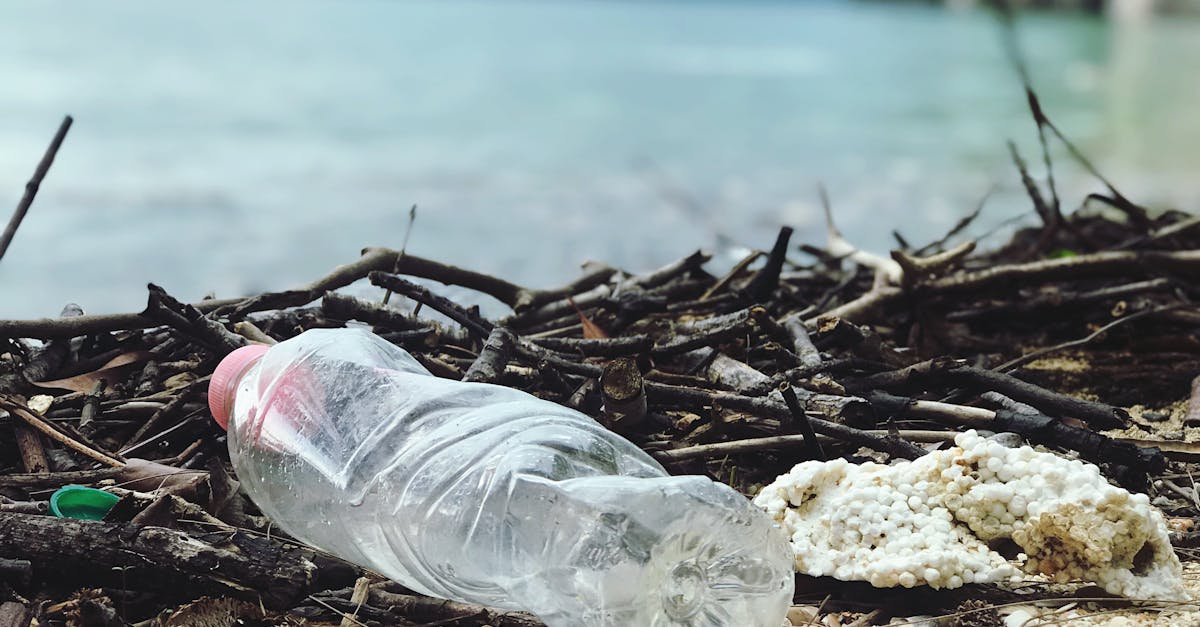 découvrez l'univers du plastique, ses applications, ses enjeux environnementaux et des solutions durables pour réduire son impact. informez-vous sur les innovations et les alternatives pour un futur plus éco-responsable.