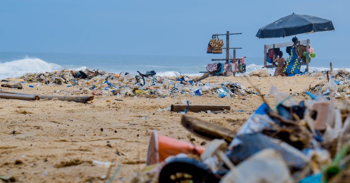 découvrez les causes, les effets et les solutions pour lutter contre la pollution. explorez les différents types de pollution et leur impact sur notre santé et l'environnement.