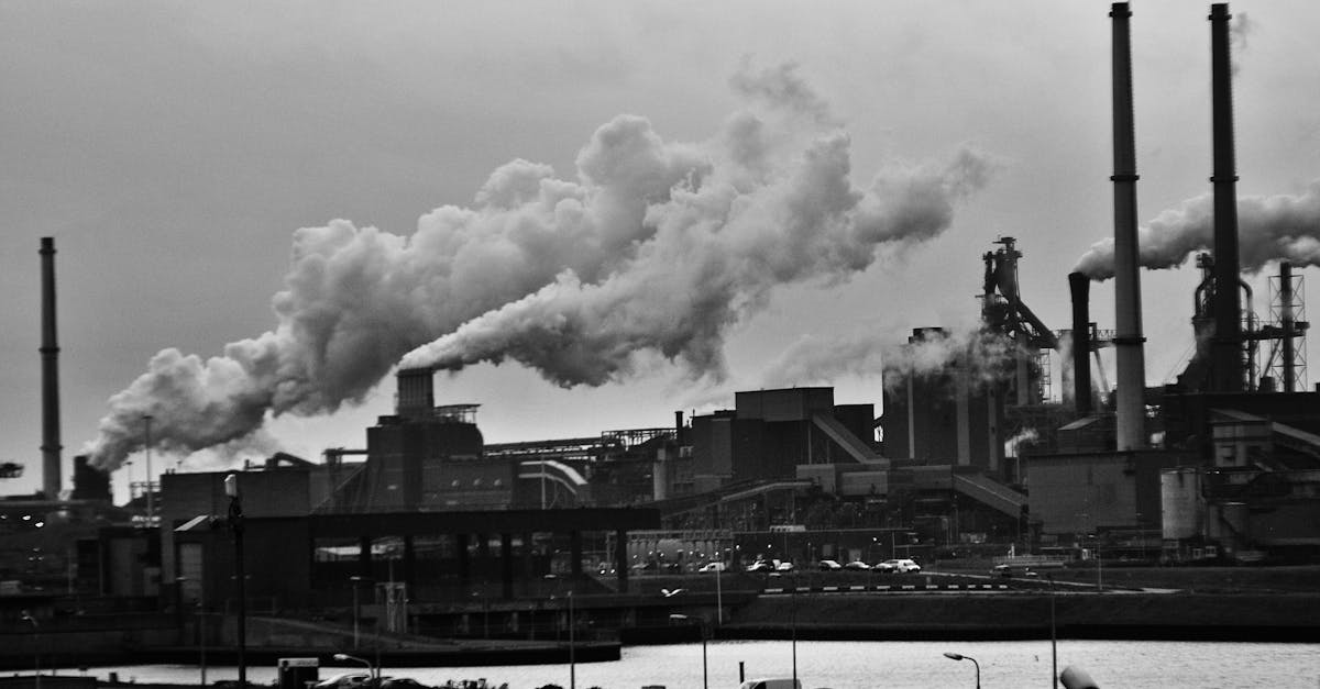 découvrez l'impact de la pollution sur notre environnement et notre santé. explorez les différentes formes de pollution, leurs conséquences et les solutions pour un avenir plus durable.