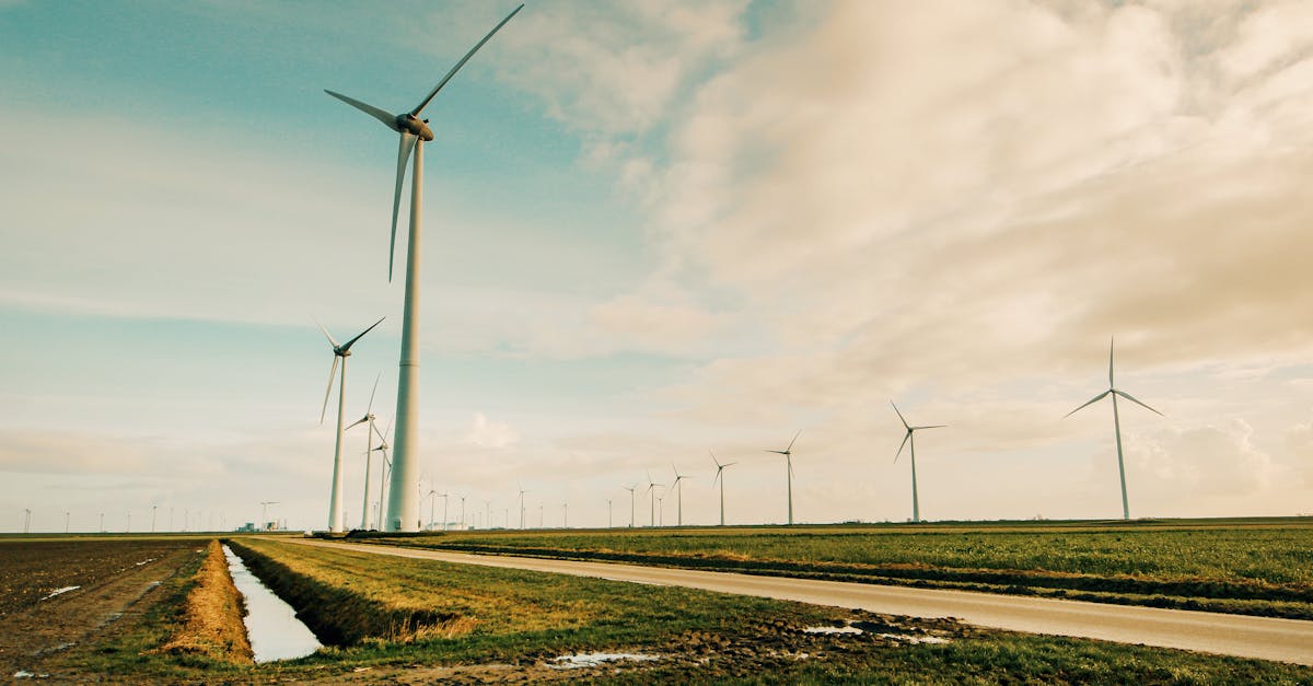 découvrez l'énergie renouvelable, une solution durable et écologique pour répondre aux besoins énergétiques de demain. explorez les différentes sources comme le solaire, l'éolien et l'hydraulique, et leur impact positif sur l'environnement.