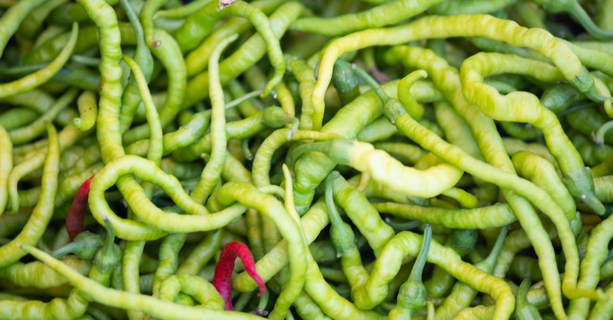 découvrez les bienfaits des produits saisonniers : frais, savoureux et respectueux de l'environnement. apprenez comment intégrer ces délices dans vos recettes et soutenir les agriculteurs locaux.