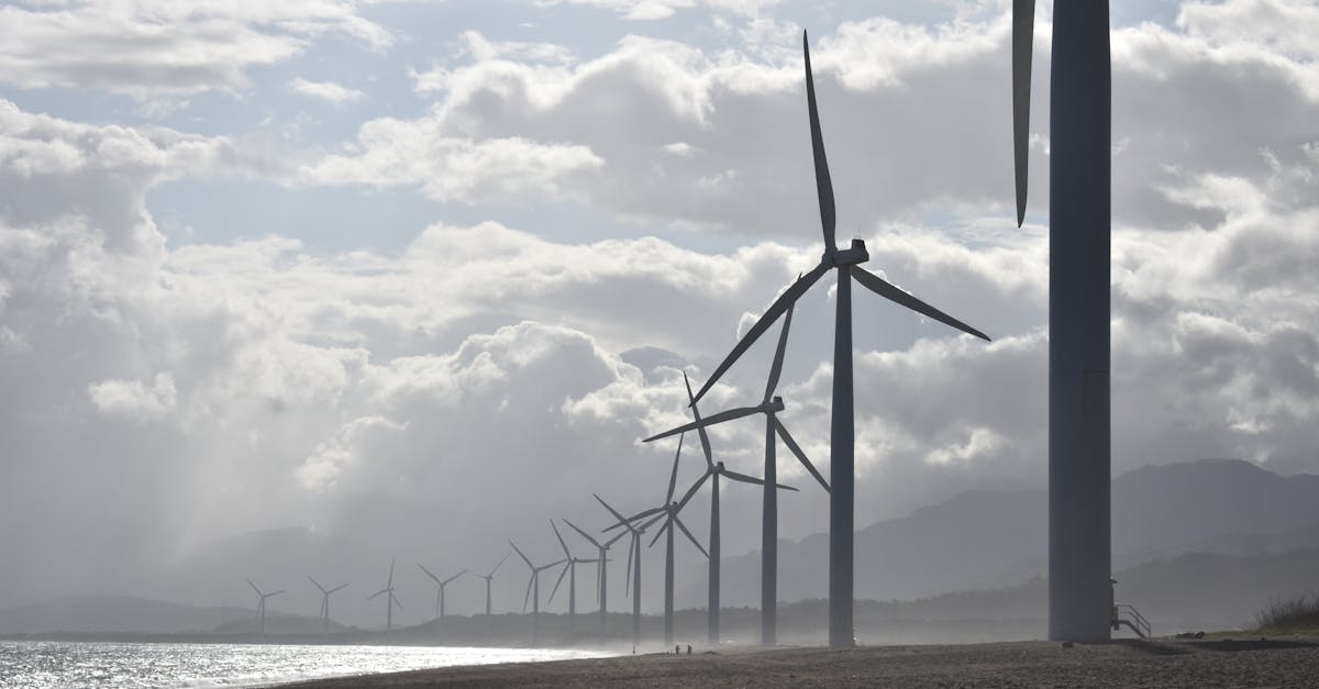 découvrez les principes du développement durable, une approche essentielle pour assurer un avenir respectueux de l'environnement. apprenez comment intégrer des pratiques durables dans votre quotidien et contribuer à la préservation de notre planète pour les générations futures.