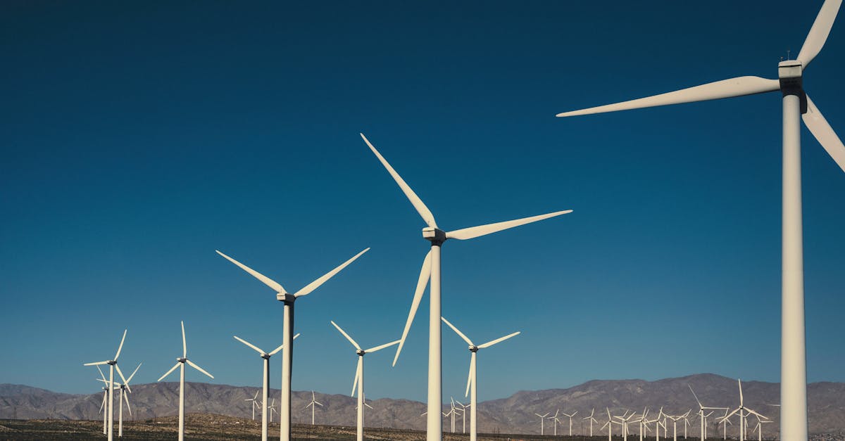 découvrez les solutions d'énergie durable pour un avenir plus vert. apprenez comment les énergies renouvelables, l'efficacité énergétique et les technologies innovantes contribuent à réduire notre empreinte carbone et à protéger notre planète.