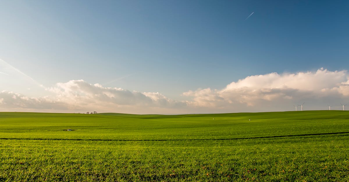 découvrez les solutions d'énergie durable qui transforment notre avenir. explorez les sources renouvelables, l'efficacité énergétique et les innovations écologiques pour un monde plus vert et responsable.