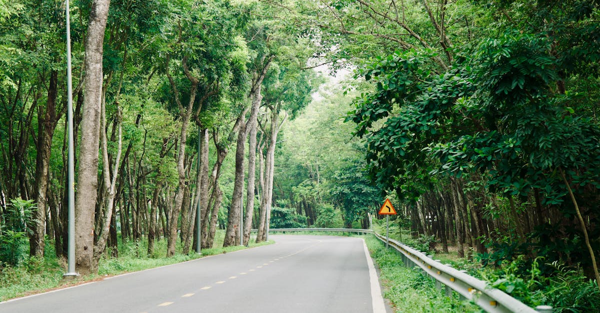 découvrez comment opérer une transition durable vers un avenir respectueux de l'environnement. explorez des stratégies innovantes, des solutions écologiques et des recommandations pratiques pour un changement positif et responsable.