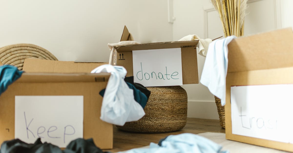 découvrez des stratégies efficaces de recyclage pour réduire les déchets, recycler intelligemment et contribuer à un environnement plus durable. adoptez des solutions innovantes pour une planète plus verte.