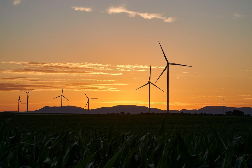 découvrez les initiatives durables qui favorisent la protection de l’environnement, encouragent une consommation responsable et soutiennent l’innovation pour un avenir plus vert.