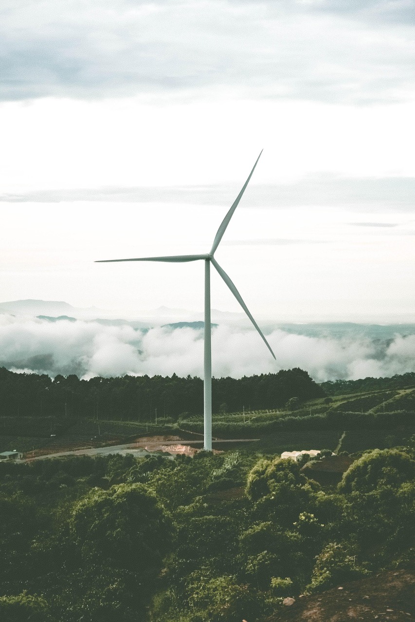 Vers un bilan carbone de 2 tonnes : Quel est l’impact environnemental de l’énergie éolienne ?