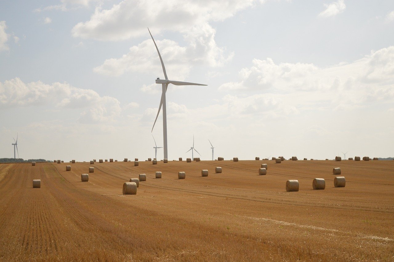 découvrez les principes du développement durable : un modèle d'avenir qui allie croissance économique, protection de l'environnement et progrès social pour assurer le bien-être des générations présentes et futures.