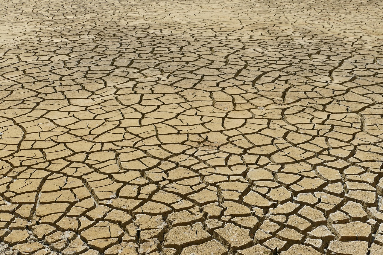découvrez les causes, conséquences et solutions du changement climatique. comprenez son impact sur l'environnement, l'économie et la société, ainsi que les actions à adopter pour lutter contre le réchauffement planétaire.