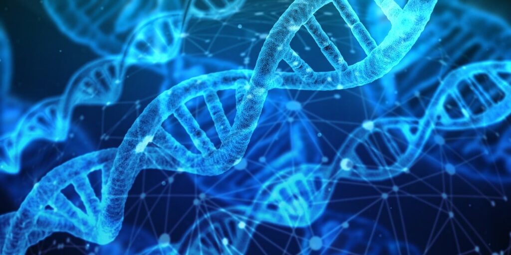 découvrez comment l'innovation transforme les entreprises, stimule la croissance et façonne l'avenir grâce à de nouvelles idées et technologies révolutionnaires.