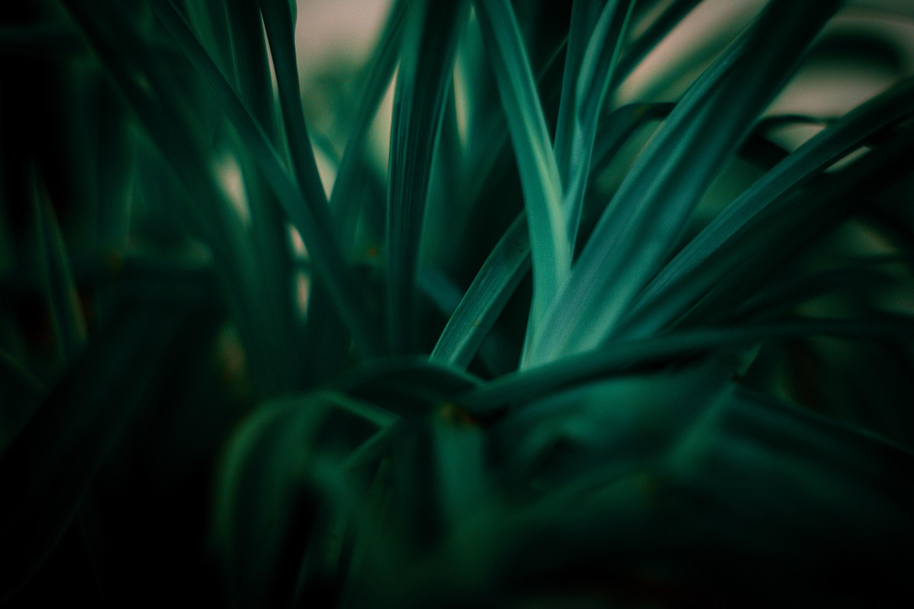 découvrez ce qu'est le développement durable, ses principes, ses enjeux et les actions à mettre en place pour préserver l'environnement tout en favorisant le progrès économique et social.