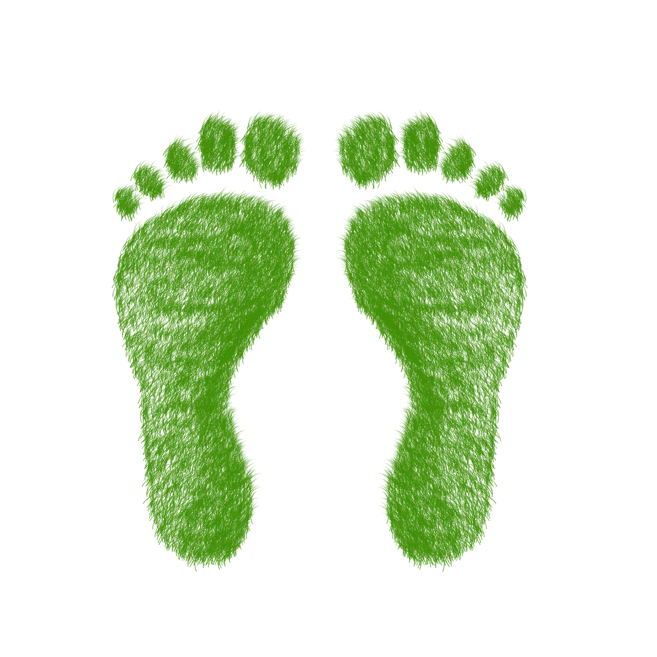 découvrez ce qu'est l'empreinte écologique, son impact sur l'environnement et comment réduire votre propre empreinte grâce à des gestes simples et responsables au quotidien.