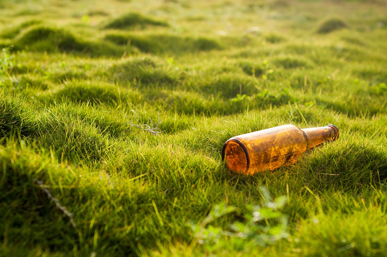 découvrez comment la protection de l'environnement contribue à préserver la planète, lutter contre la pollution et assurer un avenir durable pour les générations futures.