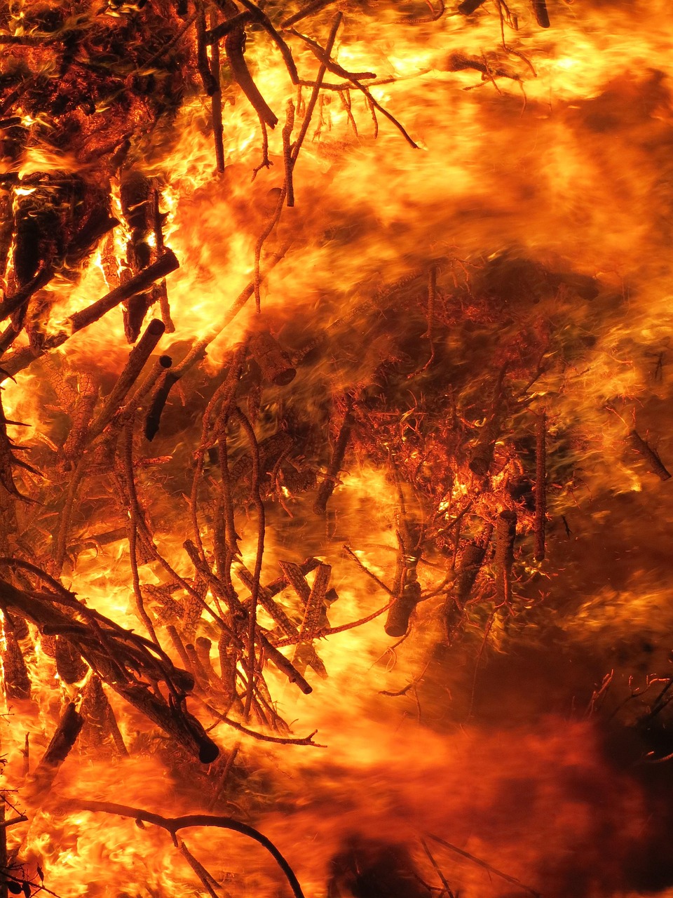 découvrez tout ce qu'il faut savoir sur les incendies de forêt : causes, conséquences, prévention et actualités pour mieux comprendre ce phénomène naturel qui menace l'environnement.