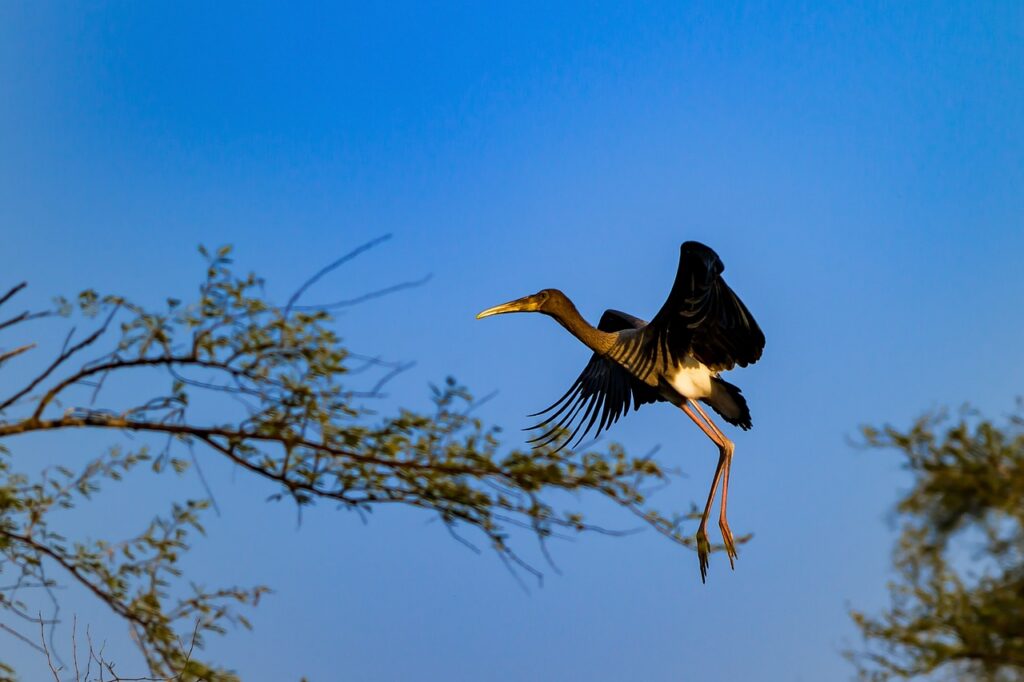 découvrez des conseils pratiques et efficaces pour économiser l'eau au quotidien et contribuer à la préservation des ressources naturelles.