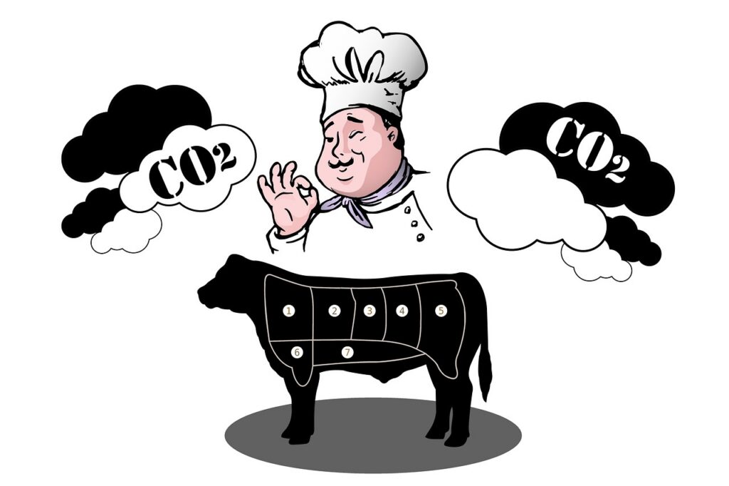 plateforme d'&eacute;valuation de l'empreinte carbone pour mesurer et r&eacute;duire votre impact environnemental efficacement.