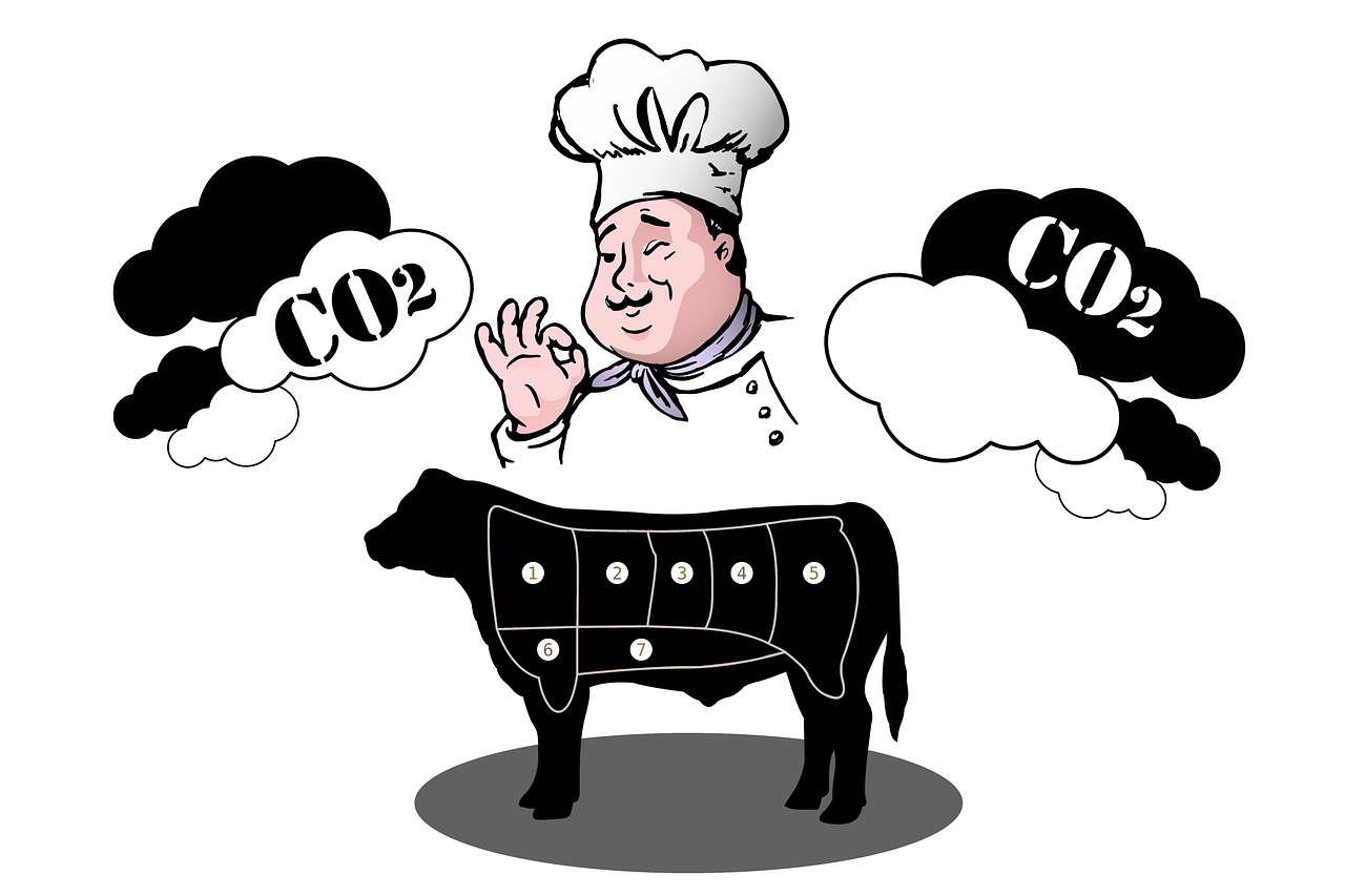 plateforme d'&eacute;valuation de l'empreinte carbone pour mesurer et r&eacute;duire votre impact environnemental efficacement.